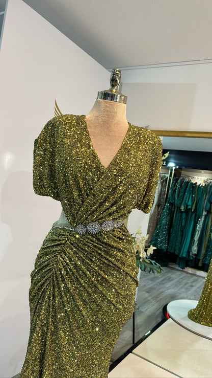 Beautiful oil green dress design, edited
