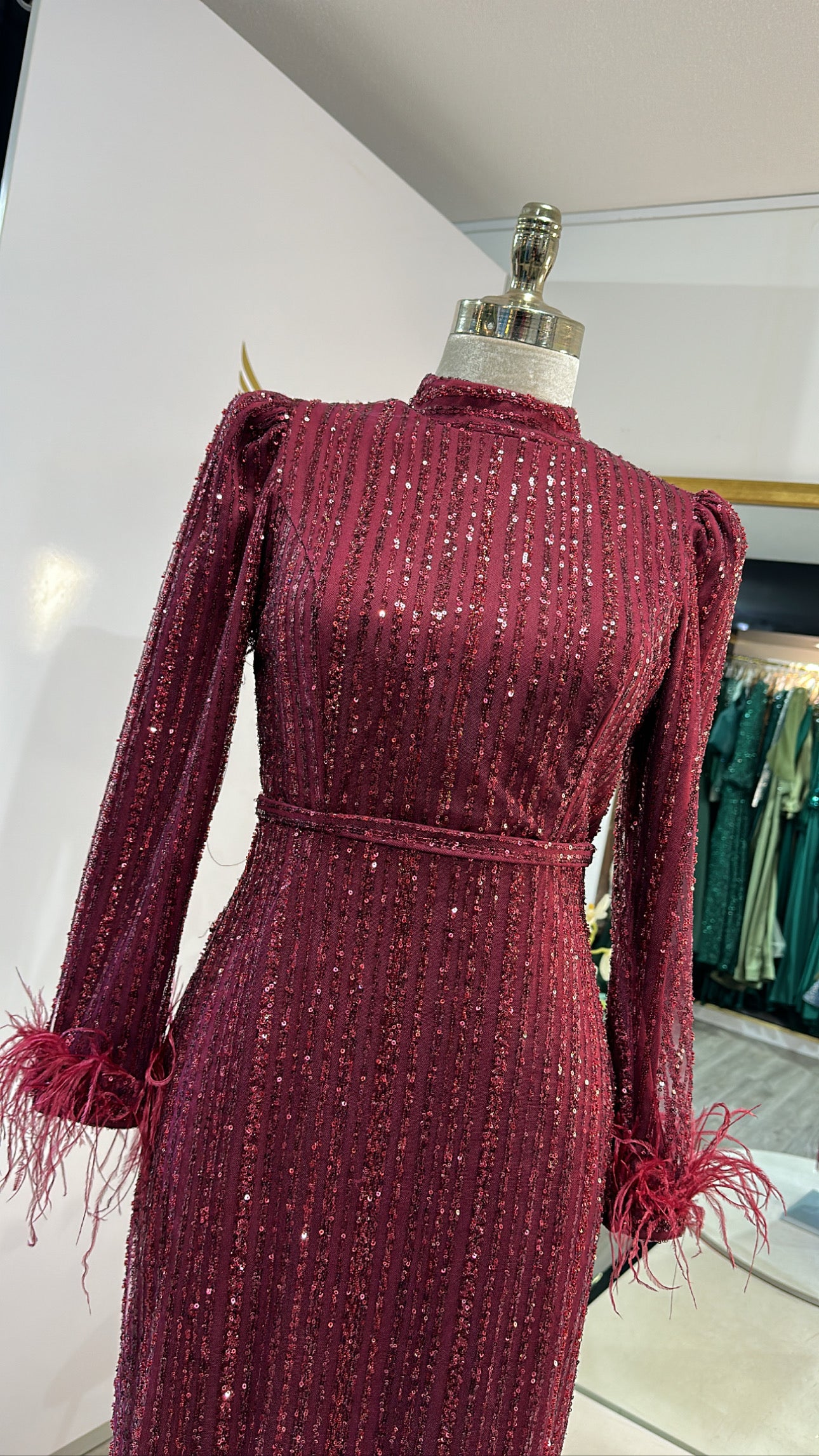 Elegant bordo dress with feathers